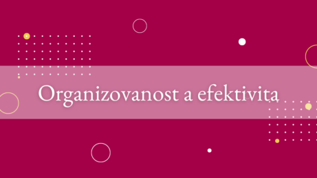 Organizovanost a efektivita