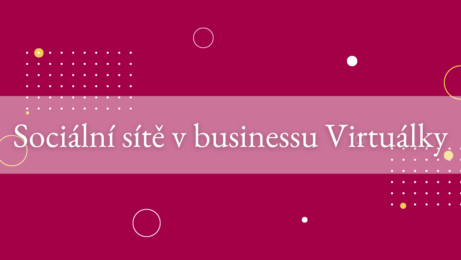 Sociální sítě v businessu Virtuálky