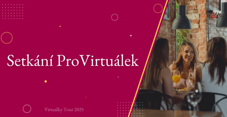 Setkání ProVirtuálek