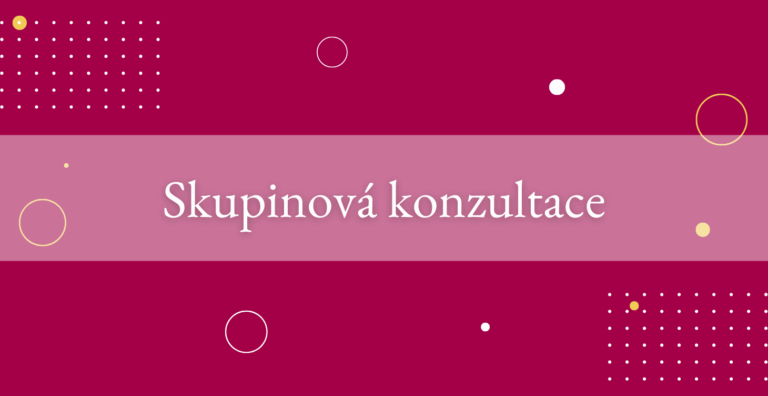Skool - Skupinová konzultace