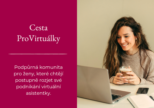 banner - Cesta ProVirtuálky