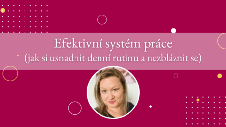 Efektivní systém práce