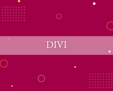 Eshop - DIVI